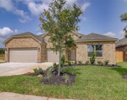 1807 Tioga View Drive, Rosharon image