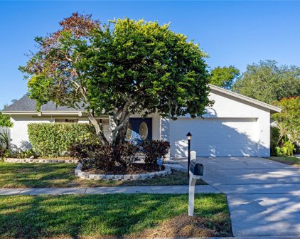 13912 Hayward Place, Tampa