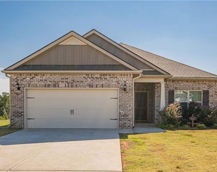 6031 Creekside View Lane, Clermont