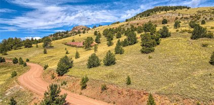 1457 Copper Mountain Drive, Cripple Creek