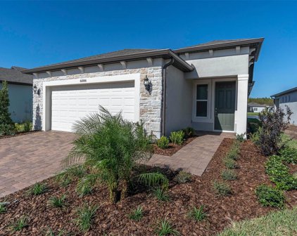 6086 Shorebird Branch, Land O' Lakes