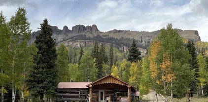 18122 Forest Service Road 520, Creede