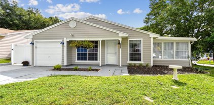 3837 Green Dolphin Drive, Palm Harbor