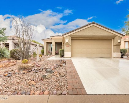 13497 N Holly Grape, Marana