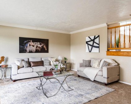 1136 S Hale, Escondido