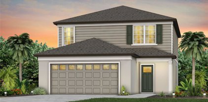 493 Waterford Drive, Lake Alfred