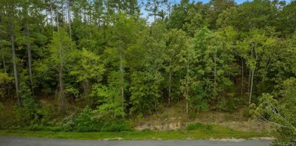 54 Manzanares, Hot Springs Village