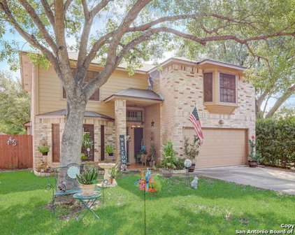 11208 Forest Rain, Live Oak