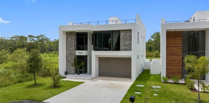 7602 Antilla Street, Tampa