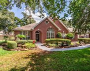 11002 Albury Park Lane, Tomball image