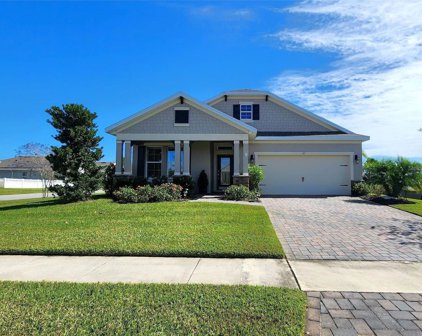 187 Venetian Palms Boulevard, New Smyrna Beach