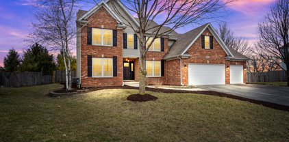 24820 Michele Drive, Plainfield