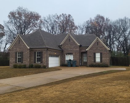 3121 Forest Down Cove, Southaven