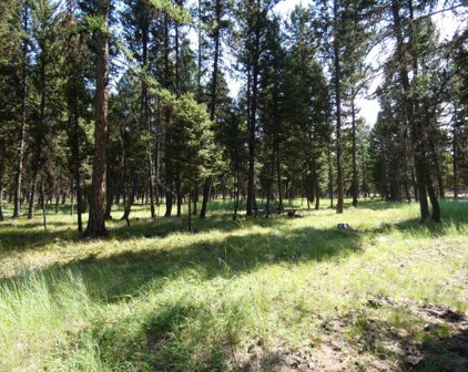 3214 Hwy 83, Seeley Lake