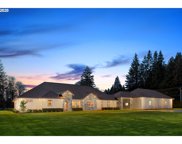15111 NE 159TH ST, Brush Prairie image