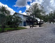 17396 Lake Ingram Road, Winter Garden image