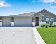 11504 Parrot Fish Court, Conroe image