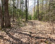 000 Under The Mountain Road, Lyman image