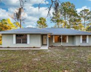 39320 Royal Trails Road, Eustis image