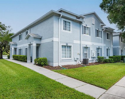 4059 Dolphin Drive, Tampa