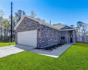 25703 Hickory Pecan Trail, Tomball image