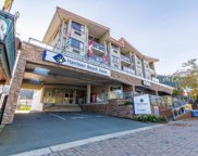 160 Esplanade Avenue Unit 304, Harrison Hot Springs image