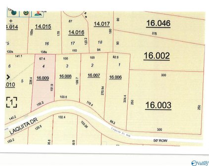 0000 Laquita Drive, Arab