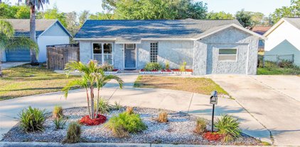 7253 Abington Avenue, New Port Richey
