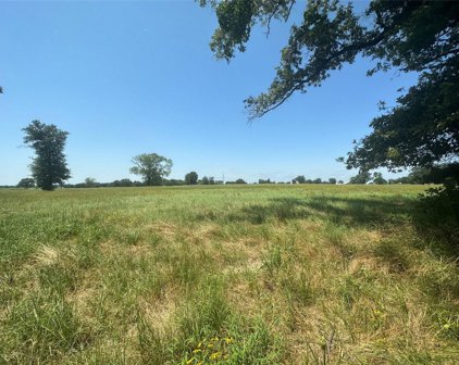 13 Acres - 1 County Road 1166, Brashear