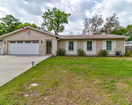 819 Forest Park Drive, Deland