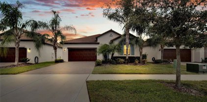 16832 Whisper Elm Street, Wimauma