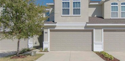 2262 Montview Drive, Clearwater