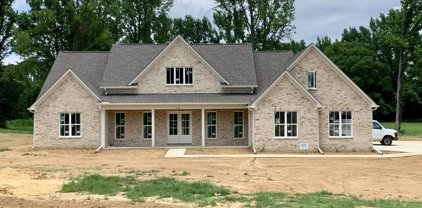 4610 Rowsey Crossing Drive, Hernando