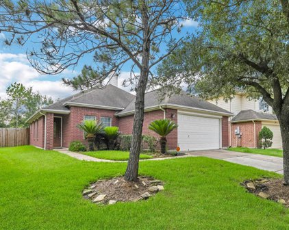 5604 Lilywood Court, Rosharon