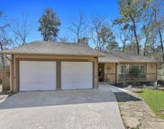 11014 Meadow Rue Street, The Woodlands image
