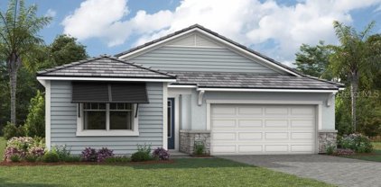 11647 Myakka Blue Drive, Venice