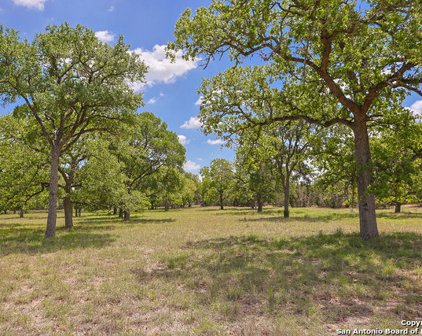 32523 Tierra Robles Drive, Bulverde