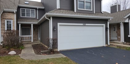 163 E Raleigh Court, Bloomingdale