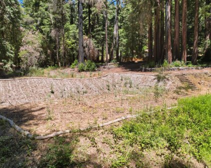 345 Spring Creek RD, Boulder Creek