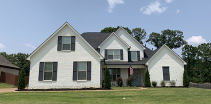 4144 Bakersfield Drive, Nesbit