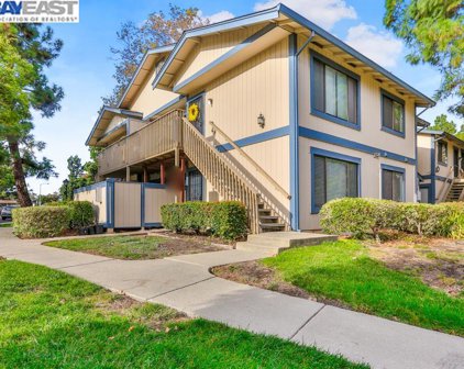219 Famoso Plz, Union City