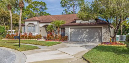 7201 Forestedge Court, New Port Richey