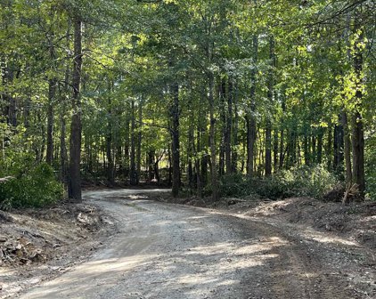 lot 3 Dowler, Inman