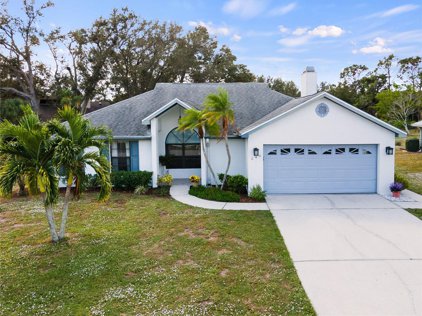 243 Woodingham Trail, Venice