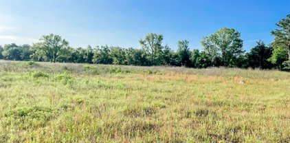14949 Turtle Creek Ranch Road, Flint