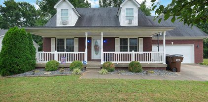525 John Austin Ln, Mt Washington