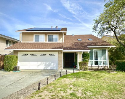 1123 Farragut BLVD, Foster City