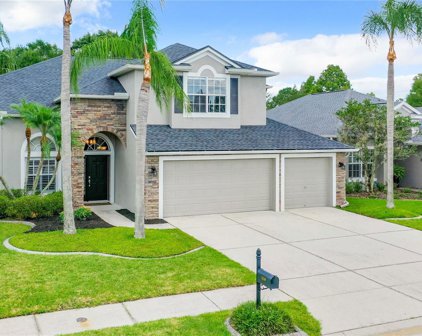3250 Sago Point Court, Land O' Lakes