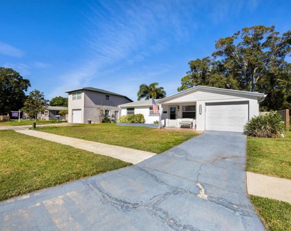 Pinellas Park