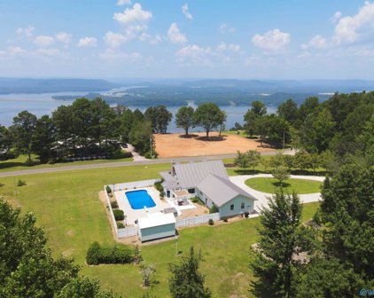 441 Moss View Road, Section
